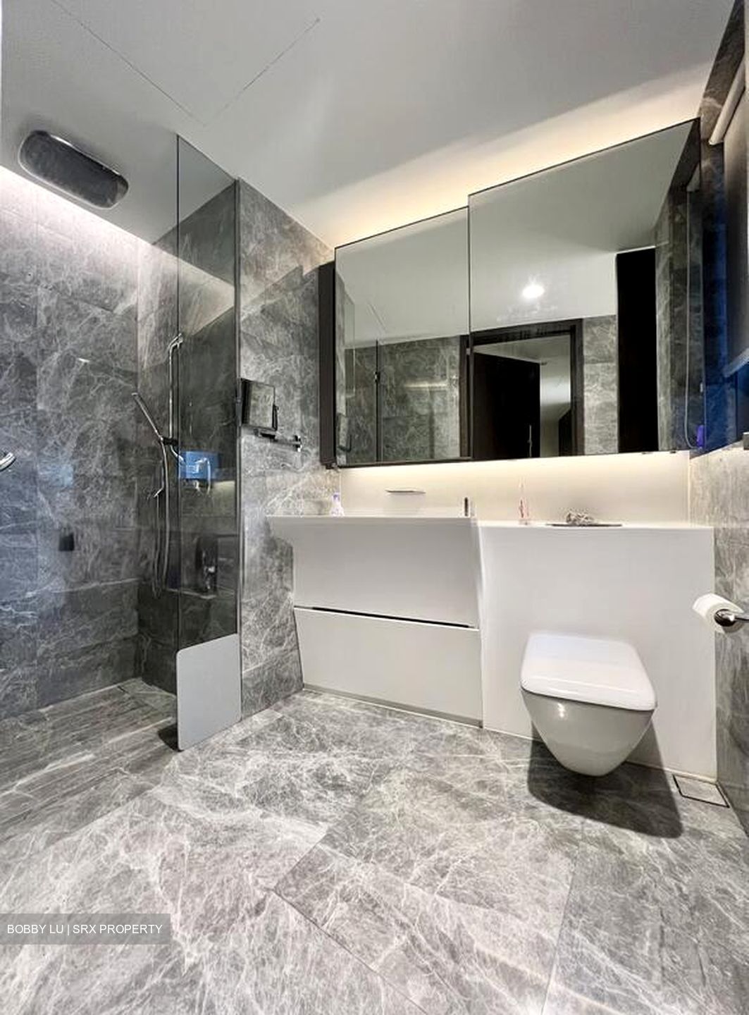 Cairnhill Nine (D9), Apartment #504713231